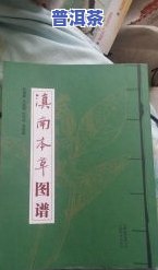 滇南本草：一部揭示云南地区物知识的关键古代文献