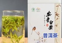 普洱茶更好-普洱茶更好排行榜