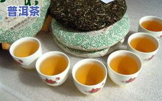 普洱茶六大古茶山比较-普洱茶6大古茶山