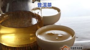 普洱茶纪录片天赐普洱全4集：揭示世界茶源之谜