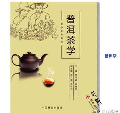 小青桔茶属于什么茶系，探秘小青桔茶：它属于哪一茶系？