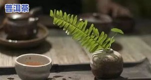 送人普洱茶：生茶好还是熟茶好？