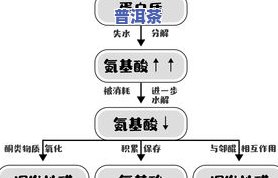 茶是一级致癌物质吗？详解其真相与分类