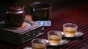 山上的茶叶是什么茶-山上的茶叶是什么茶叶