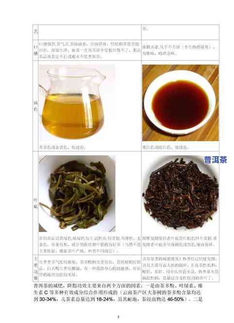 浓普洱茶的功效与作用：好处、坏处及副作用全解析