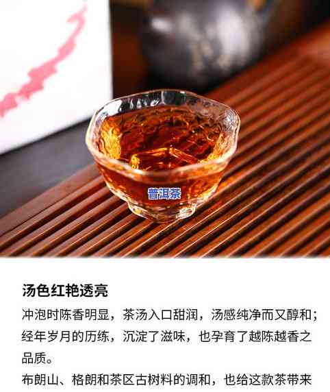 2007年的普洱茶多少钱一饼？现价查询与价值评估