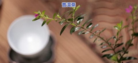 开普洱茶时用的盘子叫什么-开普洱茶时用的盘子叫什么名字