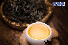 黑条普洱茶：无芽特点与含义解析