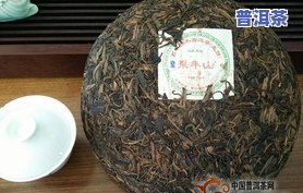 东半山普洱茶生茶价格及相关资料