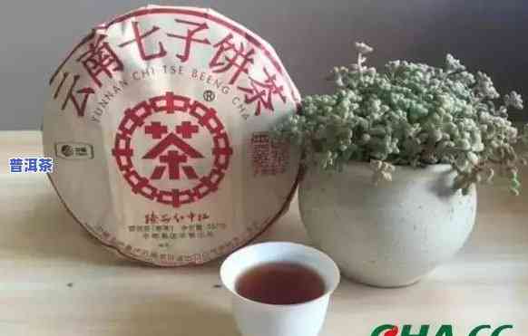 东方臻选普洱茶价格全解析：一斤、一盒、一瓶，饼价详询！