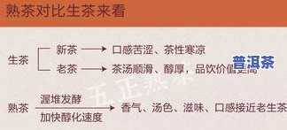 普洱的储存方法：全面解析与实践指南