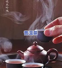 飘逸杯泡茶好？全解析：适用茶叶、效果及优缺点