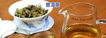 冰岛金砖普洱茶多少钱一斤？全网最全价格一览！