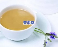 茶叶进水了怎么办？小妙招解决，还能继续泡吗？