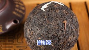 普洱茶根的样子：详细图解与大全