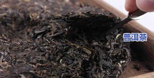 大益普洱茶600价位多少一斤？了解7562和7692最新价格