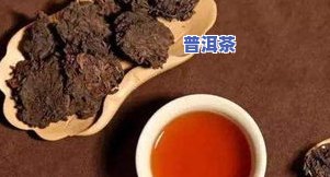 云南省普洱龙峰茶厂电话号码是多少？