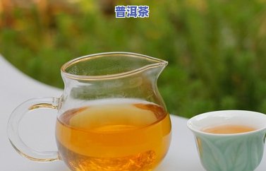 什么时间段喝普洱茶能减肥效果更佳？