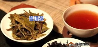 怎么存储普洱茶-怎么存储普洱茶更好