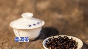 普洱茶生泡几冲-普洱茶生泡几冲泡更好