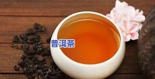 普洱茶怎么看年份？教你如何识别老茶