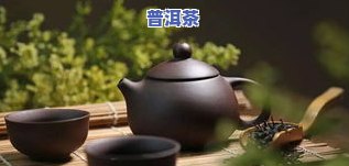 普洱茶保存湿度多少合适？影响茶叶品质的关键因素