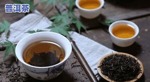 老布朗茶：口感特点、老树茶与价格解析，以及老熟茶特性全览