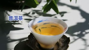 老布朗茶：口感特点、老树茶与价格解析，以及老熟茶特性全览