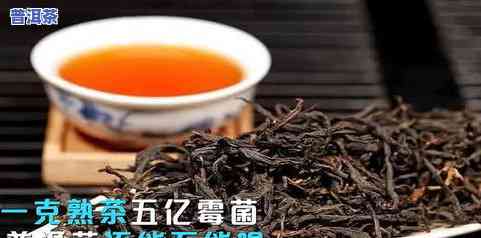 普洱茶能不能泡黑枸杞-普洱茶能不能泡黑枸杞喝