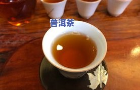 普洱茶是不是可以开水冲泡？详细解析及百科参考