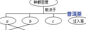 什么是普洱茶优势种群：特征、类型与优势特色