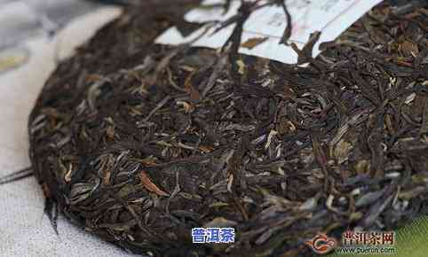 广西茶叶排行榜前十：揭秘更受欢迎的十大