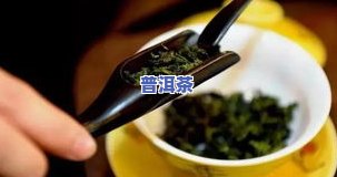 广西茶叶排行榜前十：揭秘更受欢迎的十大