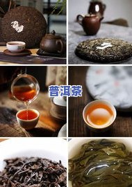 普洱茶什么级别的好？从口感、品质等方面全面解析