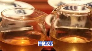 普洱大红袍属于什么茶？详解其种类与区别