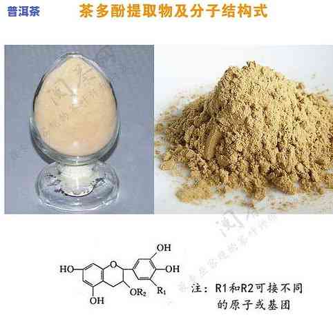 茶叶富含茶多酚：原因、含量与功效全解析