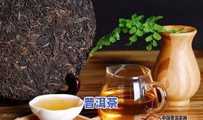 普洱茶饼如何喝更好？详细步骤与技巧分享