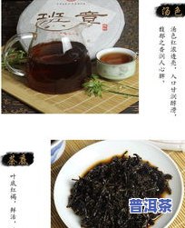 全面解析：90年代绿印青饼普洱茶的历史与特点