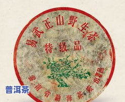 全面解析：90年代绿印青饼普洱茶的历史与特点