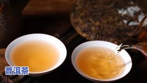 全面解析：90年代绿印青饼普洱茶的历史与特点