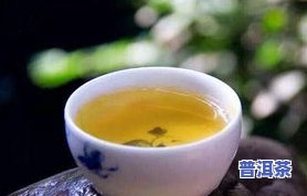 8596普洱茶的价格、品质及品种介绍