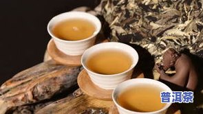 人看云南普洱茶视频：探索世界顶级茶叶文化