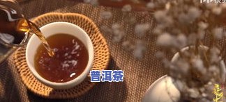 人看云南普洱茶视频-人看云南普洱茶视频大全