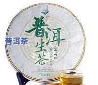 云南明子山明前普洱茶-明子山普洱茶价格