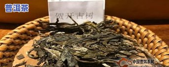 云南明子山明前普洱茶-明子山普洱茶价格