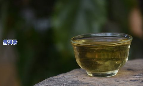 50年代有普洱茶吗？为何价格高昂？探究其历史与价值