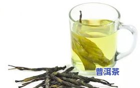 最减肥的茶叶排行榜前十：揭秘有效减脂的茶饮选择