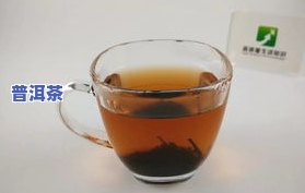 减肥效果更好的茶叶是什么？绿茶、红茶、乌龙茶还是普洱茶？