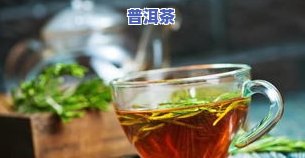 世界茶叶排行榜前十名：揭秘全球更受欢迎的茶饮