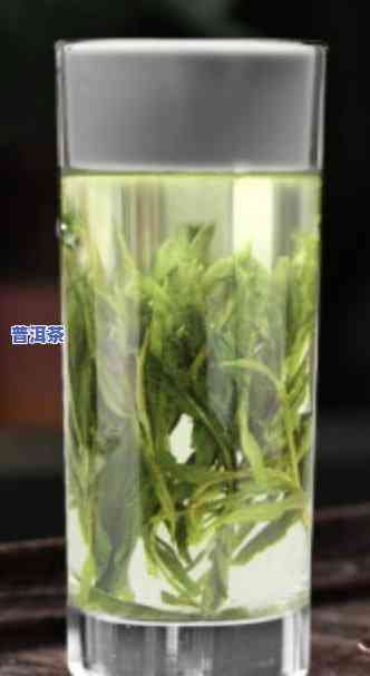 绿茶有哪些品种好喝？十大绿茶排名、四大名茶推荐！